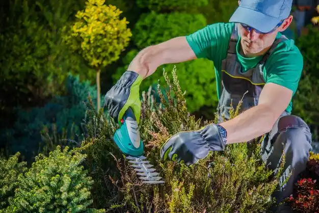landscaping services Great Bend